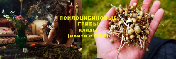 не бодяженный Абаза