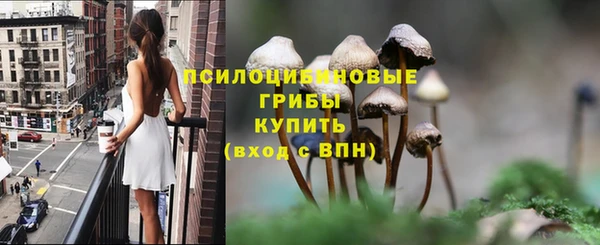 дурь Алексеевка