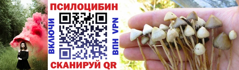 Галлюциногенные грибы Psilocybine cubensis  Тольятти 
